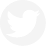 icon twitter